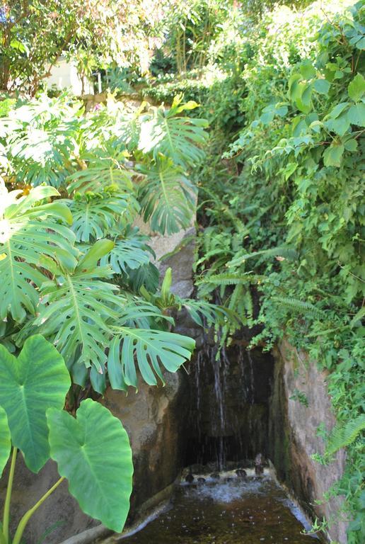 Albergaria Do Lageado Monchique Ngoại thất bức ảnh